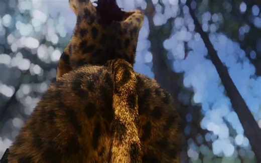 【furry】虎人有多毛-TallyburdO