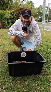 MUD CRAB care… how to keep and store ya mud crabs so they stay perfect can keep up to 10 days like this yummo 🦀🦀!! #australia #seafood Fishing with Currie | Kyle Currie