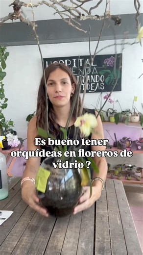 12K views · 128 reactions | Es común ver a las orquídea en peceras o...