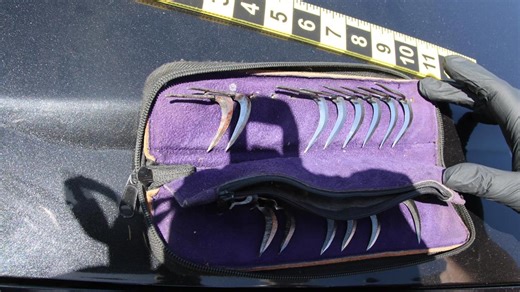 6 arrested in Linden in connection to illegal rooster fights