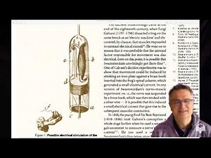 Non Linear Elasticity : Lecture 15 : recording 1/2
