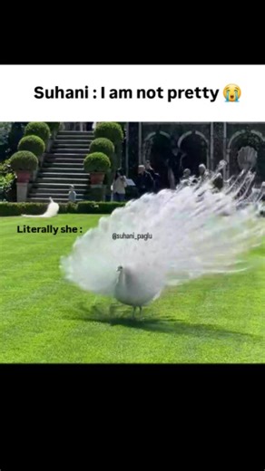𝑺𝒖𝒉𝒂 🤍🎀 on Instagram: "Tag her ( suhani ) 💗😭🌷 . . . . . . . . . . #suhanians🧿❤️ #reels #explorepage #lovestatus #suhnicutiee #instadaily #explorepage #lovestatus #viral #fyp #foryou #explorepage #lovestatus #suhanians🧿❤️ #reels #reelinstagram #suhani #explorepage #fyp #soul"