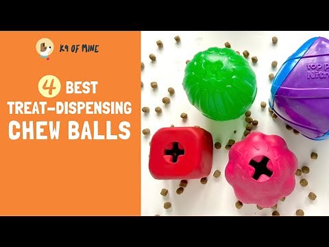 Best Treat-Dispensing Balls: Our Top Picks Reviewed!