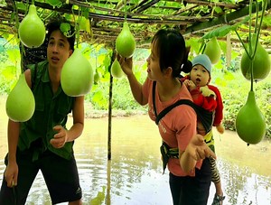 Harvesting the gourd garden goes to the market sell - Take care of the pet | Bushcraft TV
