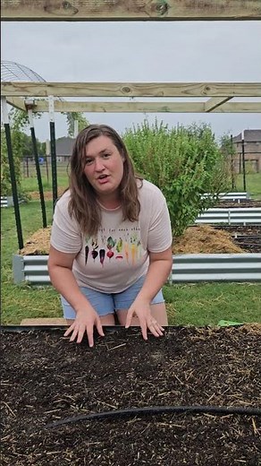 🥕🌱 How to plant carrot seeds + a simple hack for easy germination & growing success! #diygardening