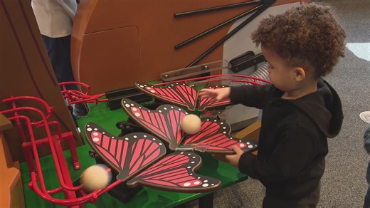 'I am wild' exhibit at Chicago Children's Museum invites kids to explore nature without the cold