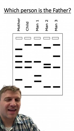 Genetic Fingerprinting: Identifying Paternity Through DNA