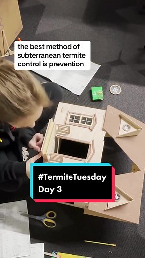 Happy #termitetuesday! Today im continuing work on the mini home and sharing termite facts with you all. As always, visit us online or call us for more info on how you can prevent termites in your home. #hawxsmartpestcontrol