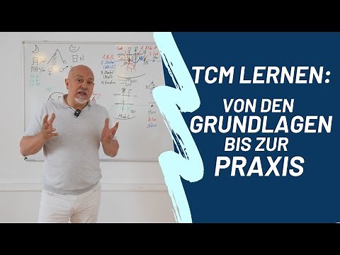 „TCM-Gesamtausbildung – Dein Weg zur Traditionellen Chinesischen Medizin | Thalamus Stuttgart“
