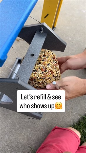 Bird Haven | When winter keeps on wintering, your feeder should still stand strong. ❄️ This Amish-built hopper feeder is designed for year-round... | Instagram