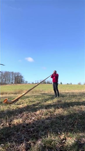 Duo oiseaux et cor des Alpes #music #nature #cordesalpes. #alphorn #oiseaux