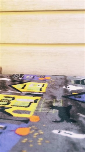 Discover the Sounds of Squirrel Farts!