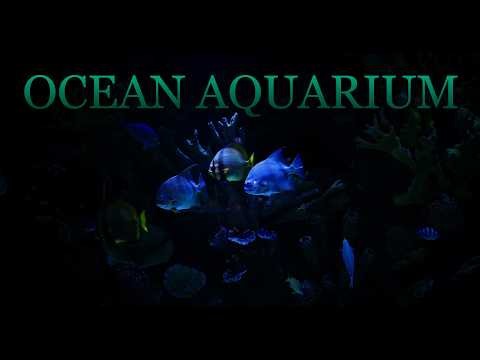 Dark Ocean Aquarium 🌙 8 Hours of Peaceful Fish, Deep Sea Ambience & Relaxing Water Sounds