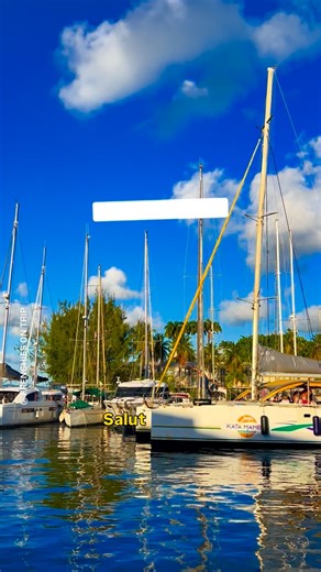 ✨ Idée balade en Martinique ✨ 📍Fort-de-France depuis Les Trois-Îlets 🇲🇶🚤 Plonger dans l’ambiance de la capitale, c’est : 🌿 Le marché de Fort-de-France et ses mille couleurs 📚 L’incontournable bibliothèque Schoelcher ⛪ La Cathédrale Saint-Louis 🏙️ Le quartier Saint-Louis 🎨 Les ruelles colorées qui font tout le charme de la ville Une escapade urbaine parfaite entre culture, patrimoine et vibes créoles 🌺🧡 🚤 Navette maritime depuis Les Trois-Îlets ou Pointe du Bout @bluelines.martinique ⏱