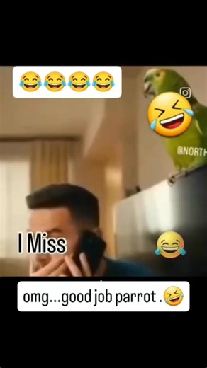 This FUNNY Parrot Exposed Me To Something Crazy?#funny #shorts