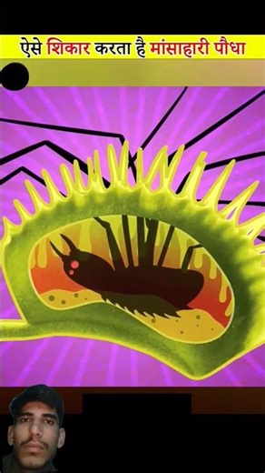VENUS FLYTRAP CARNIVOROUS PLANT || ☘️ || #facts #shorts