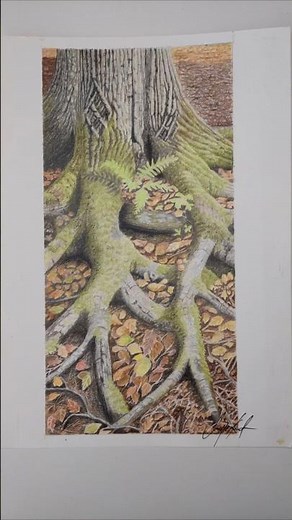 how to draw tree and root with colored pencil #art #shorts #tree #painting #drawing