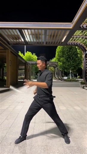 Masters🔥 | Karate Techniques