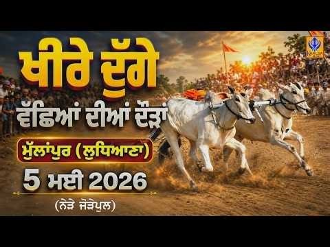 🔴[Live] Mullanpur | Jode pull | ਖੀਰੇ ਦੁੱਗੇ ਵੱਛਿਆਂ ਦੀਆਂ ਦੌੜਾਂ | Ox Races | 05 May 2026