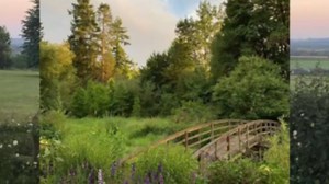 如何制作sub的教程(给个字幕吧，要不然活不了)