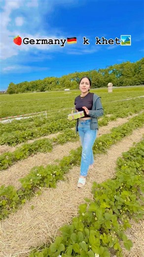 Germany🇩🇪 k Khet 🏞️ kaise h? #lifeingermany #abroadinformation #deutschland #studyingermany