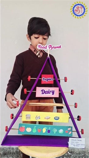 Food Pyramid Project explanation | food pyramid working model