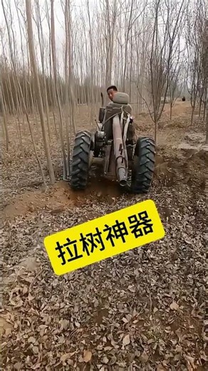 Ingenious Small Inventions for Big Solutions