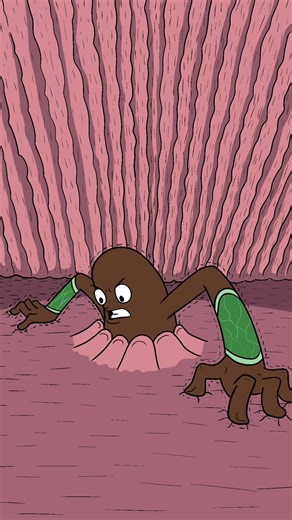 The legend of mount poop sect #funnyvideos #animation #fyp | Animation