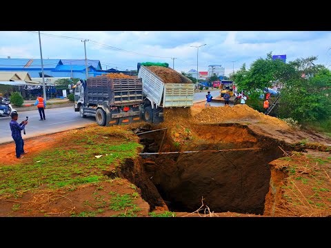 New project, new location with new experts working on clearing land fast delete Forest