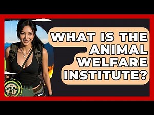 What Is The Animal Welfare Institute? - The Wild Life Explorer
