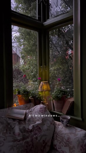 All My Windows Throughout the Day and Year | Window Aesthetic Views