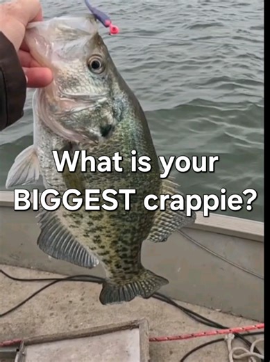 Catch the Biggest Crappie: Tips and Techniques