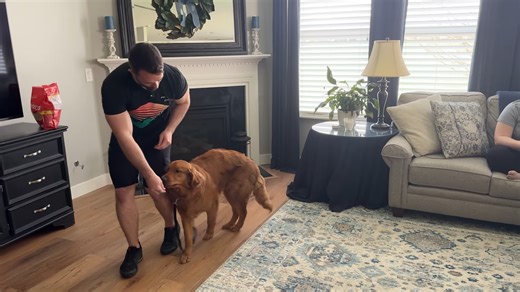 The early dog training steps most people skip are often the ones that matter most