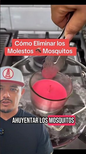 🚨Tip cómo Eliminar los 🦟 Mosquitos de tu cuarto casa 🏠 #tips #ideas #casa #hogar #pestcontrol