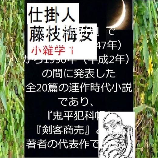 "The Assassin Fujieda Baian," Introduction, Part 1, Original work by Shotaro Ikenami, Short comme...