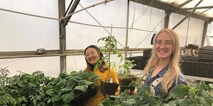 Desert Farming Initiative is forced to pause their wholesale program due to aging equipment