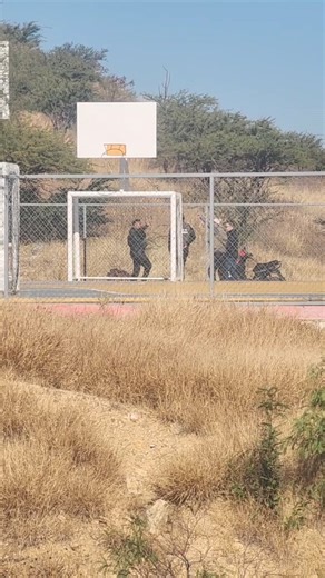 Codigo 13 Parral on Reels