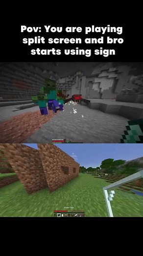 Split Screen Gaming Moments in Minecraft