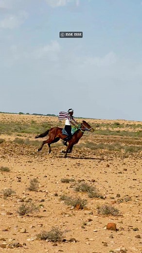 Faras Ku Joog: Dhaqanka Soomaalida