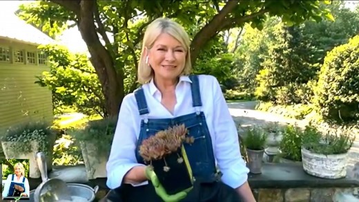 Martha Stewart talks about her new HGTV show (and that sultry pool selfie)