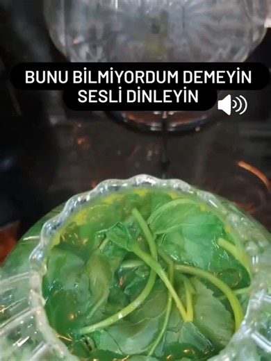 🌿 Tere otu, içerdiği vitaminler, mineraller ve antioksidanlar sayesinde sağlıklı beslenmede önemli bir yere sahiptir. Bağışıklık sistemini desteklemeye, sindirime katkı sağlamaya ve vücudun günlük besin ihtiyacını karşılamaya yardımcı olabilir. Bu videoda tere otunun faydalarını ve bilinmesi gerekenleri anlatıyoruz. 📌 Siz tere otunu salatalarda tüketiyor musunuz? #diyet #beslenme #saglik