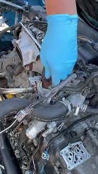 How to remove and install the EGR valve