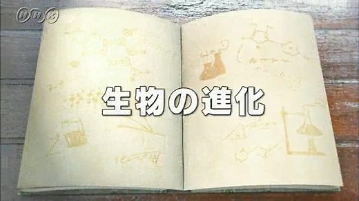 生物の進化 | １０ｍｉｎ．ボックス　　理科２分野 | NHK for School