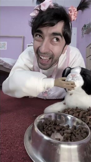 Epic Cat Castle: My DIY Adventure with My Feline Friend! 🏰🐱✨