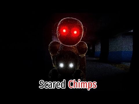 Scared Chimps…