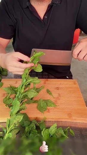 Practical Skills for Multifunctional Application of Knives 🔪⚙️📏