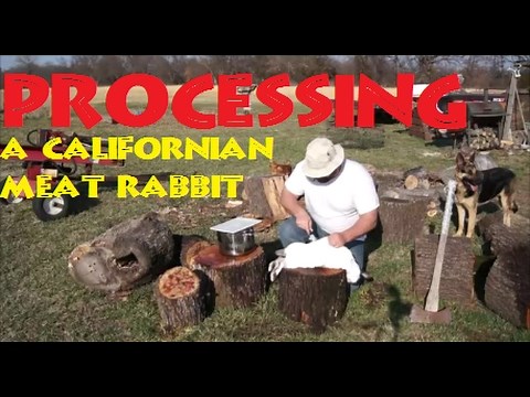 How To Butcher A Rabbit Fast