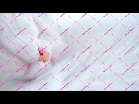 Comment faire un FILIGRANE photoshop tutoriel