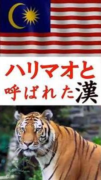 The man called Harimao