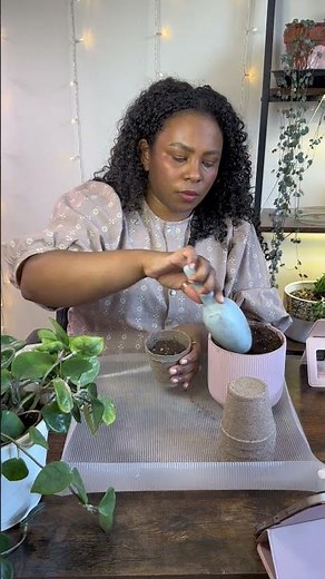 How to Start a Herb Garden on a Budget 🌿